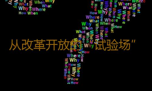 从改革开放的“试验场”到“美好生活入口” 深圳蛇口研究所正式成立