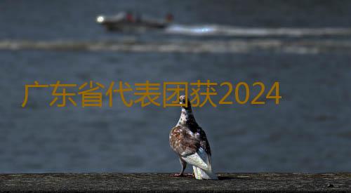 广东省代表团获2024年全国住房城乡建设行业职业技能大赛团体三等奖