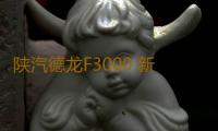 陕汽德龙F3000 新M3000 X3000 L3000大货车专用汽车吹尘枪吹气枪